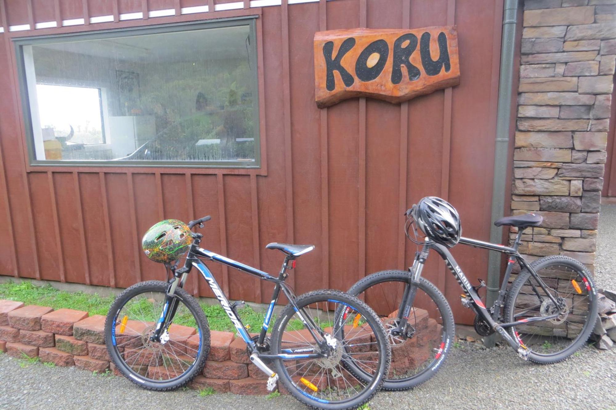 Koru Beachfront Holiday Cabins & Hot Tub Barrytown Ngoại thất bức ảnh